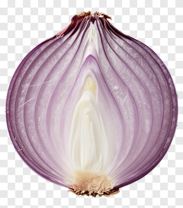 Cross-Section Of A Purple Onion PNG