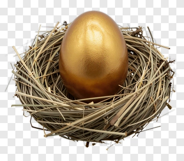 Golden Egg In A Nest PNG