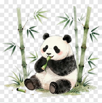 Cute Panda Eating Bamboo PNG