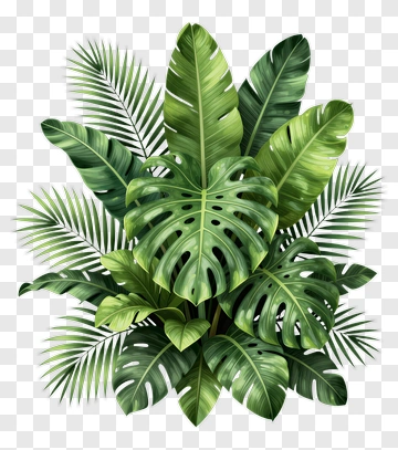 Tropical Green Leaf Arrangement PNG