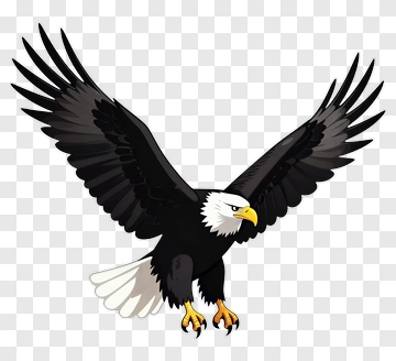 Cartoon Bald Eagle In Flight PNG