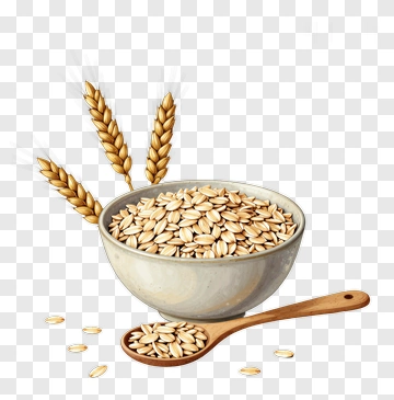 Bowl Of Oats With Wheat Stalks PNG