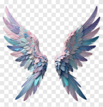 Colorful Angel Wings PNG