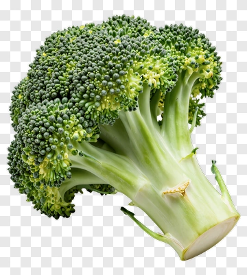 Fresh Broccoli Vegetable PNG