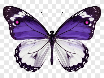 Purple Butterfly PNG