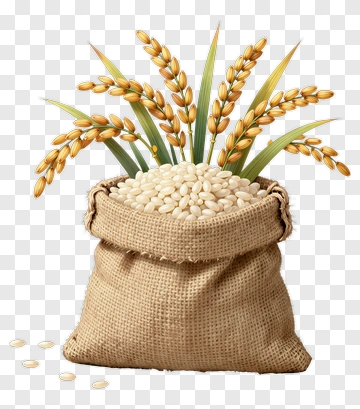 Sack Of Rice With Wheat Stalks PNG