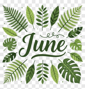 June With Green Leaves PNG