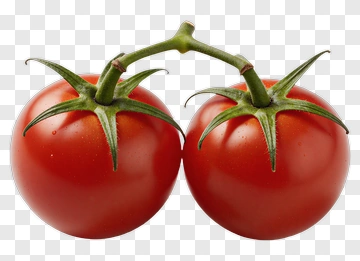 Red Tomatoes On A Vine PNG