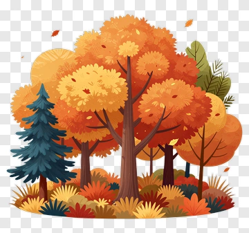 Autumn Forest With Colorful Trees PNG