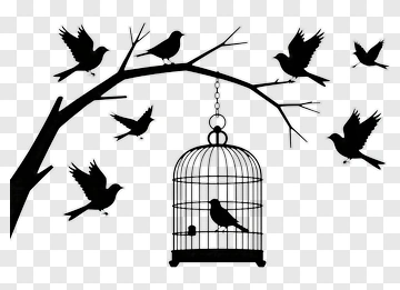 Birds On A Tree Branch With A Cage PNG