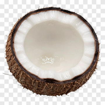 Coconut Half With White Flesh PNG