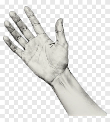 Open Hand Gesture PNG