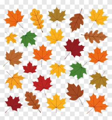 Colorful Autumn Leaves PNG