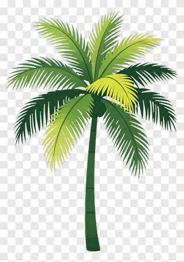 Colorful Palm Tree PNG