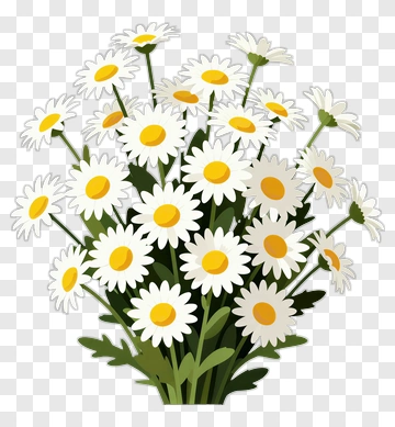 Flower Bouquet Of Daisies PNG