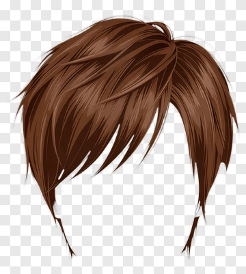 Brown Hair Style PNG