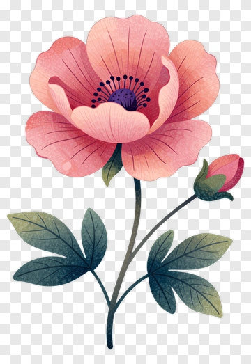 Pink Flower With Bud PNG