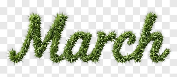 March In Greenery PNG