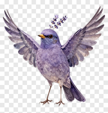 Purple Bird With Lavender Crown PNG