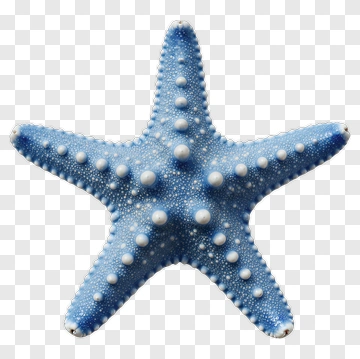Blue Starfish PNG
