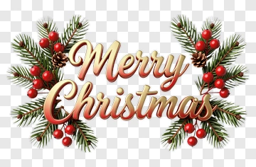 Merry Christmas Greeting With Pine And Berries PNG