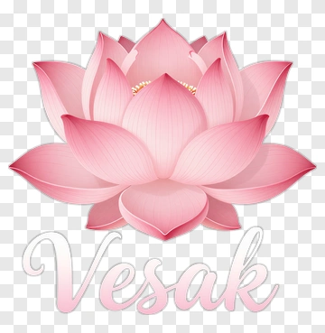 Pink Lotus Flower With Vesak Text PNG