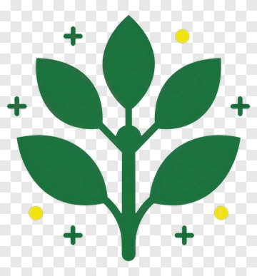 Green Plant With Leaves And Yellow Accents PNG