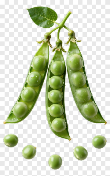 Fresh Peas In A Pod PNG