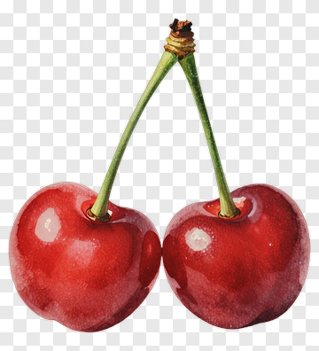 Red Cherries PNG