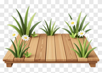 Wooden Platform With Grass And Daisies PNG