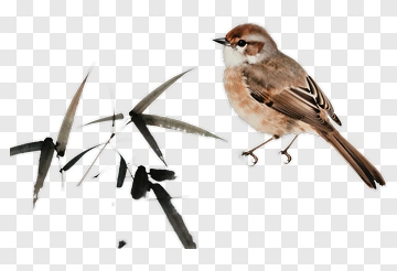 Bird Standing Beside Bamboo PNG