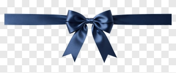 Navy Ribbon Bow PNG