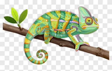 Colorful Chameleon On A Branch PNG