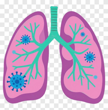 Cartoon Lungs With Viruses PNG