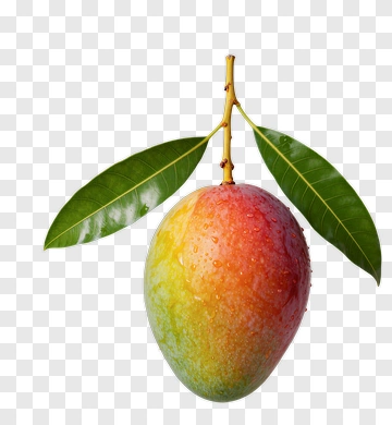 Ripe Mango With Green Leaves PNG