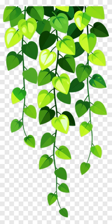 Green Hanging Plant PNG