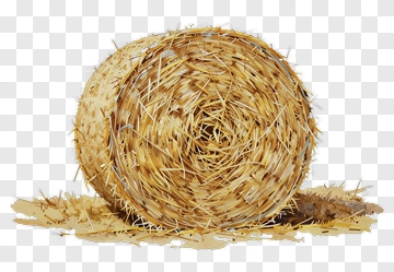 Hay Bale PNG
