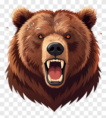 Angry Bear Head Illustration PNG