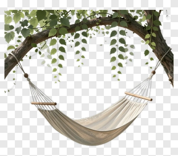 Hammock Hanging From A Tree Branch PNG