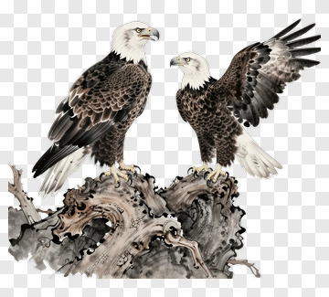 Bald Eagles Perched On A Tree Stump PNG