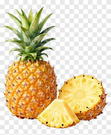 Pineapple With Slices PNG