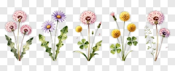 Colorful Flower Bouquet PNG