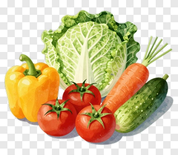 Colorful Vegetable Arrangement PNG