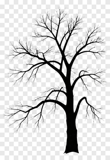 Silhouette Tree With Bare Branches PNG