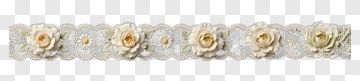 Decorative Floral Lace With Beige Roses PNG