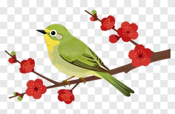 Green Bird Sitting On A Flowering Branch PNG
