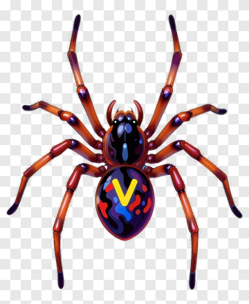 Colorful Cartoon Spider PNG