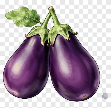 Eggplant With Leaf PNG
