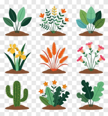 Colorful Plant Collection PNG