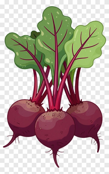 Cartoon Beets With Green Leaves PNG